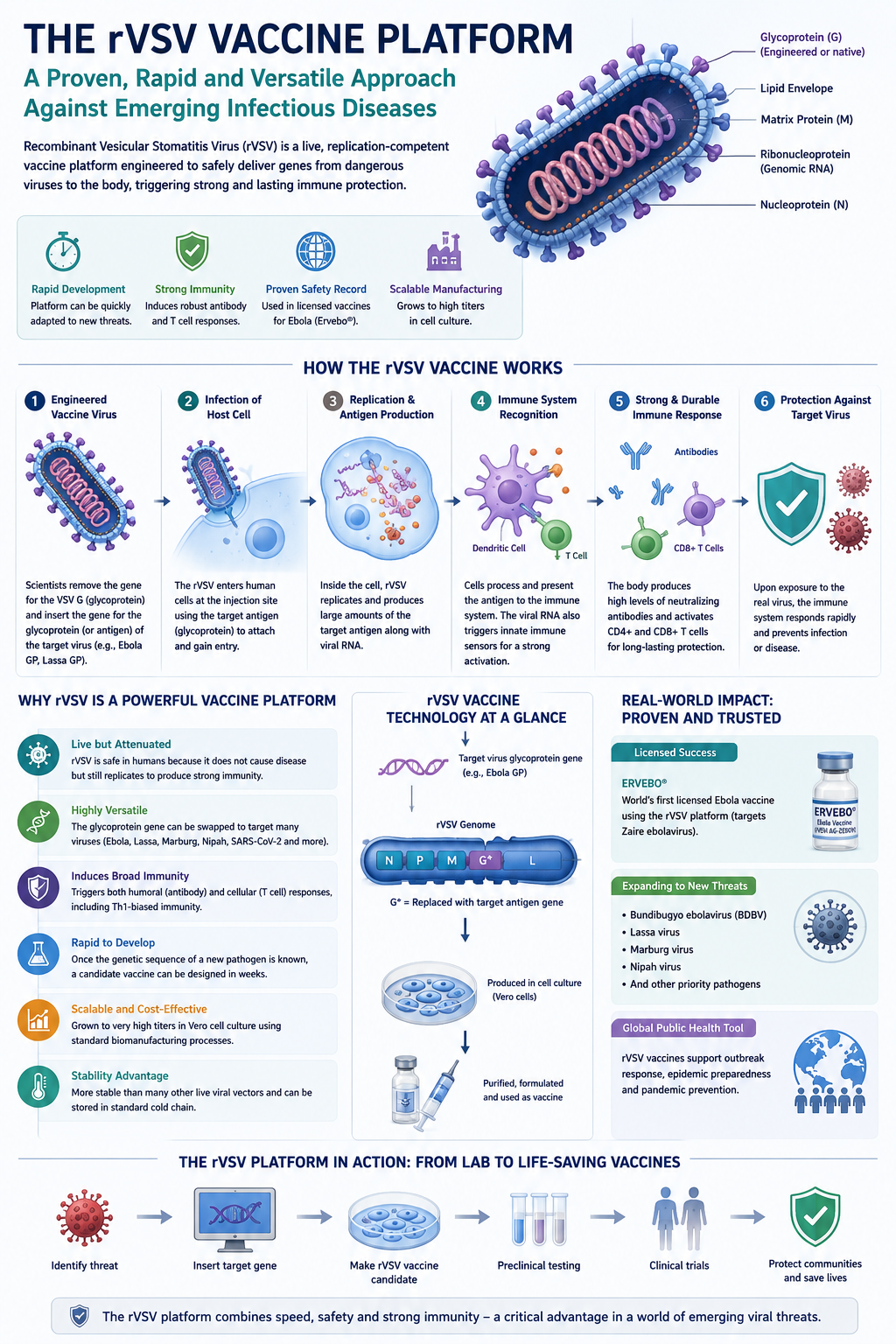 CEPI Invests Up to $8.5 Million to Advance Manufacturing of Experimental Bundibugyo Ebola Vaccine