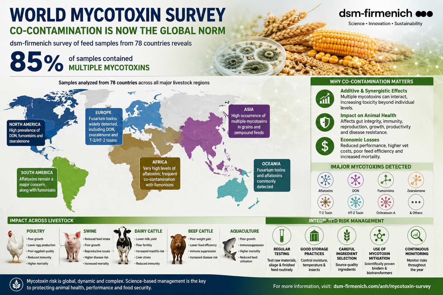 85% of feed samples analysed from 78 countries contained multiple mycotoxins
