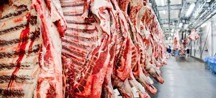Brazil fights EU's Maet Import Ban