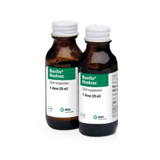 MSD Animal Health has confirmed that production of Bovilis® Huskvac will be permanently discontinued after the 2027 grazing season
