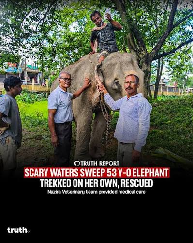 Massive Veterinary Relief Effort Underway After Devastating Floods in Assam