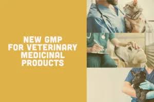 European Union Introduces Dedicated GMP Framework for Veterinary Medicines