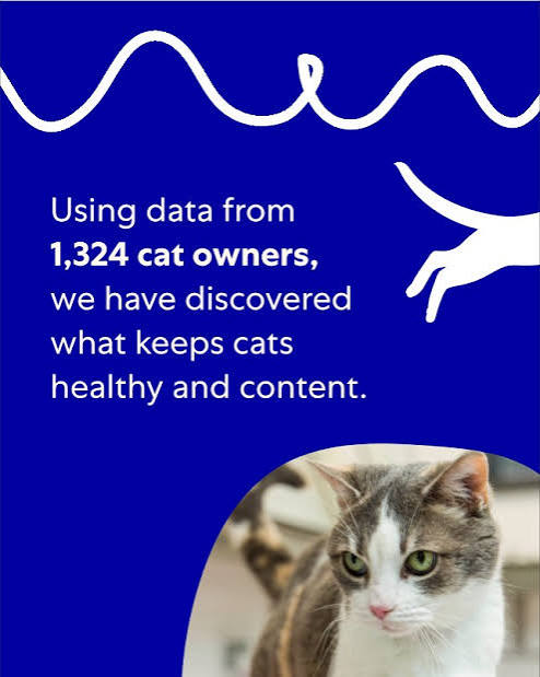 New Quality-of-Life Assessment Tool Could Improve Healthcare for Cats