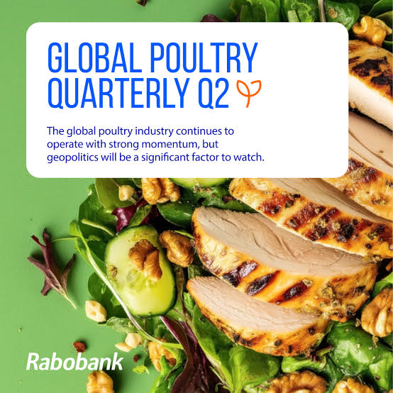 Global poultry quarterly Q3 2026: Strong growth continues, but tighter discipline is critical as oversupply pressures build