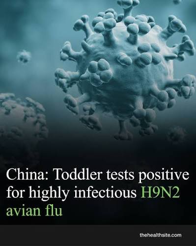 Three New Human H9N2 Avian Flu Cases Confirmed in China: WHO & CHP Report