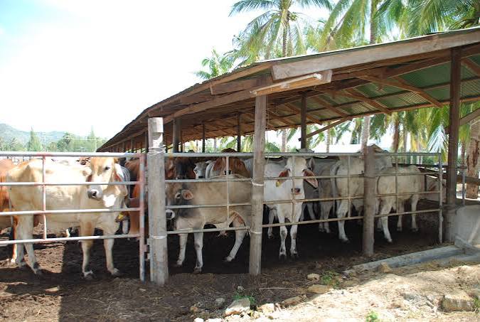 World Organisation for Animal Health (WOAH) has officially opened the 28th Meeting of the Sub-Commission for Foot-and-Mouth Disease in South-East Asia, China, and Mongolia (SEACFMD). The event takes place in Ulaanbaatar, Mongolia, running from July 28 to July 30, 2026