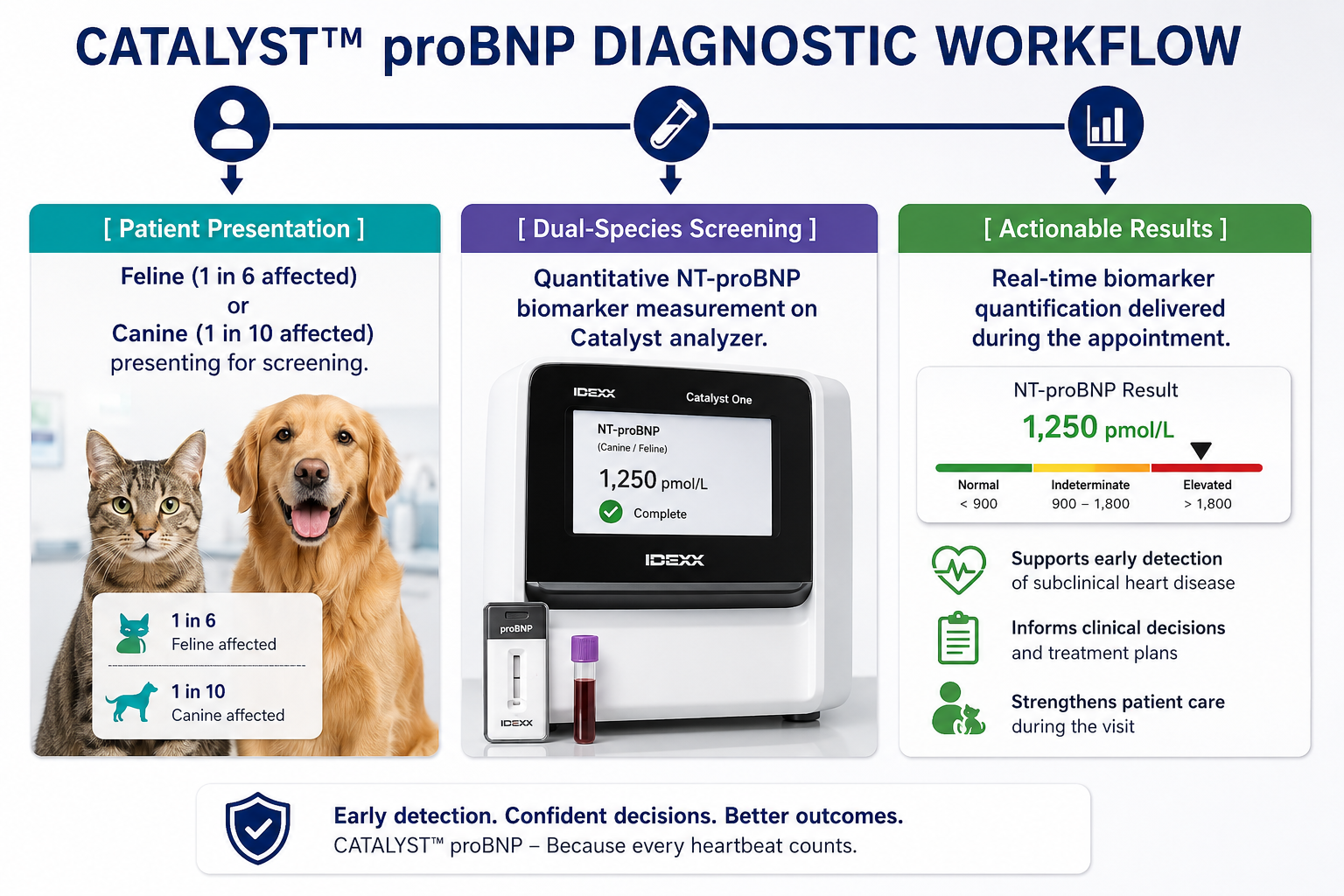 CATALYST proBNP Workflo