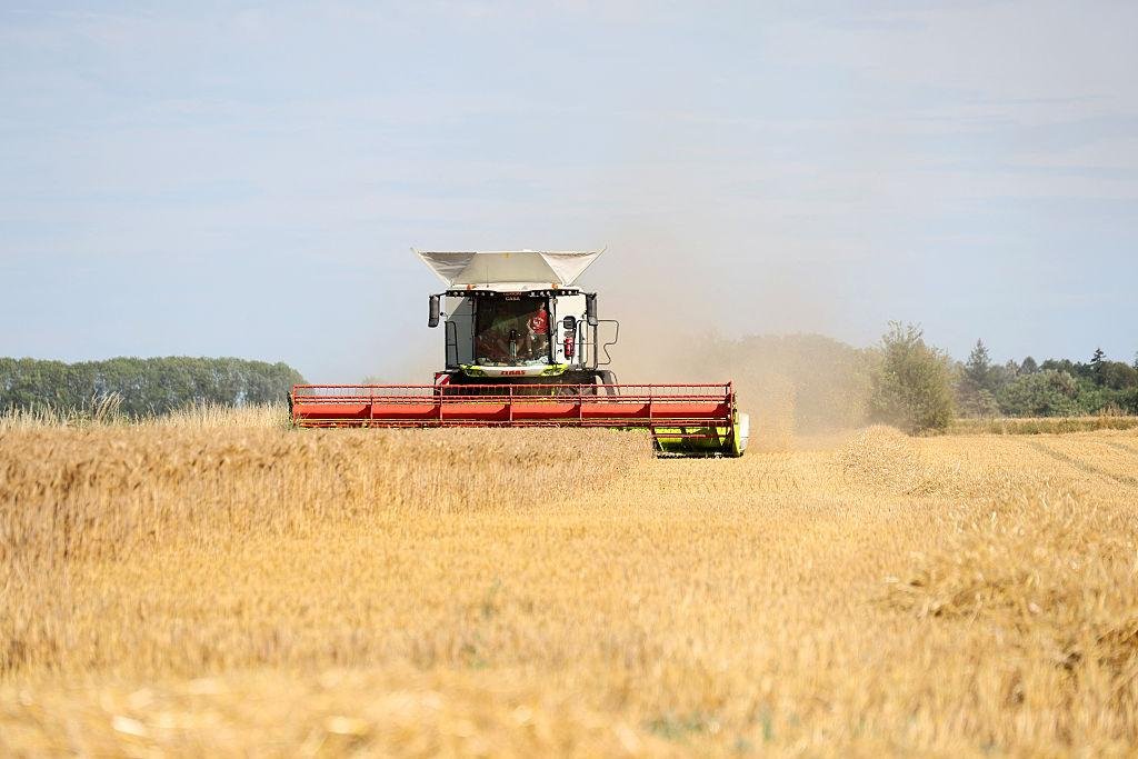 Rising Cereals Prices due to Heat Waves