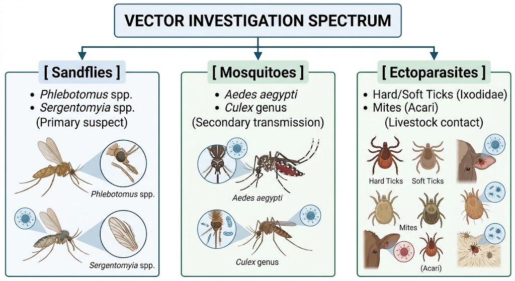 Chandipura-Virus-Vector-Investigations