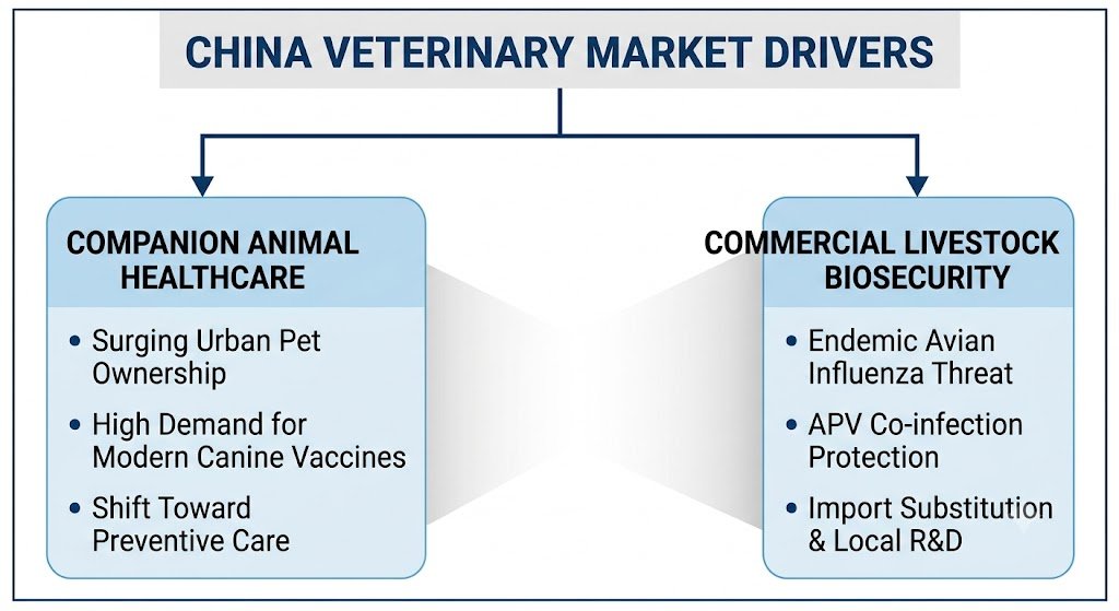 China-Veterinary-Market-Key-Drivers
