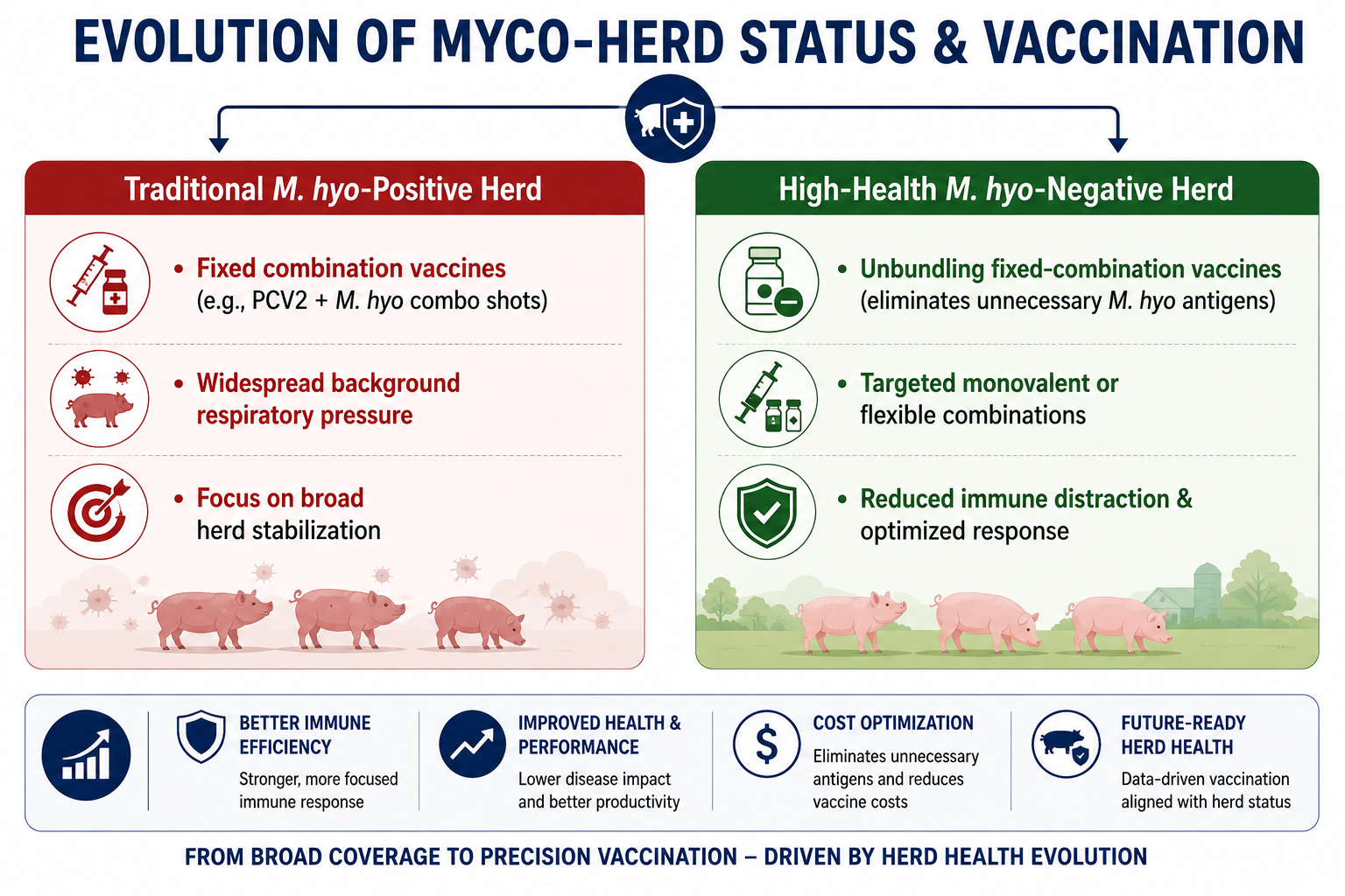 Evolution of Mycoplasma vaccination in Swine