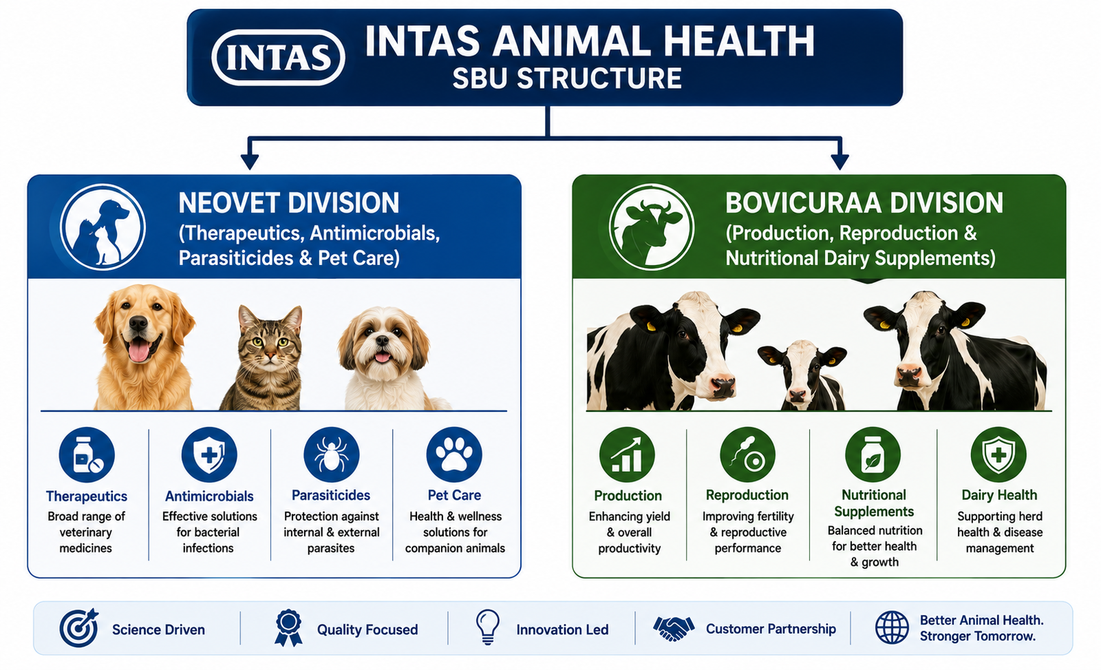 Intas Animal Health Business Divisions