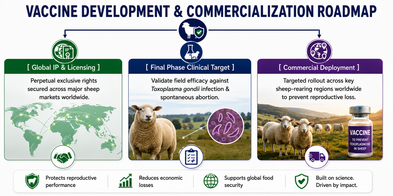 ECO Animal Health Vaxinano sheep vaccine toxoplasmosis