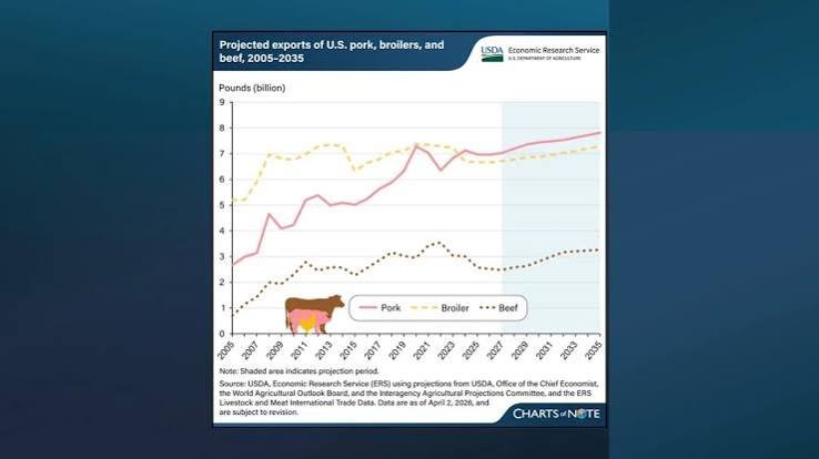 US-Swine-Production-and-Export-Report-2026