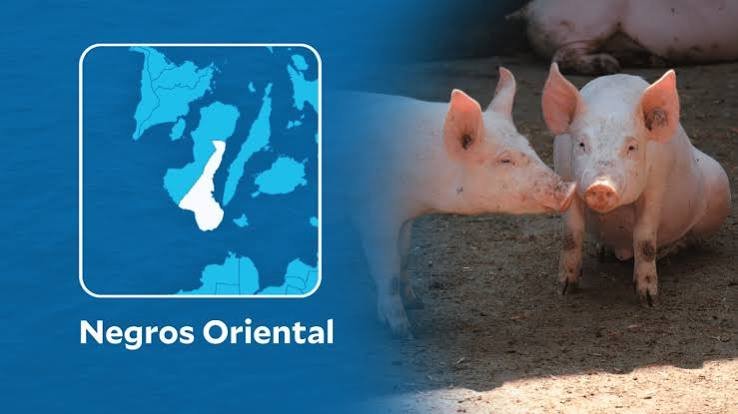 Philippines - ASF Resurgence Triggers Targeted Culling and Quarantine Protocols Across Negros Oriental