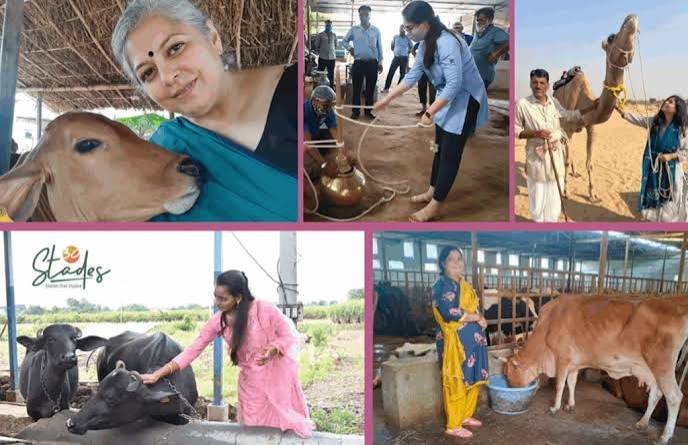 Uttar Pradesh Women-Led Dairy Enterprises Cross ₹5,716 Crore Turnover, New Rural Business Model