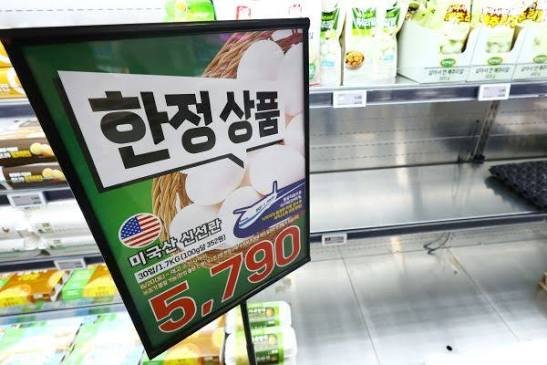 South Korea Egg Crisis 2026: Cage Space Mandate, Prices Surge