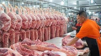 Vietnam: Live Hog Prices Rebound to Key 60,000 VND/kg Threshold Across Northern Regions