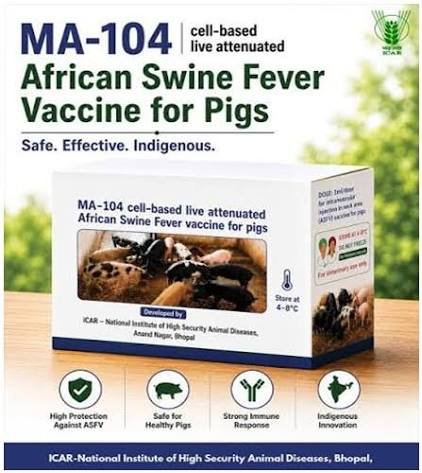 India Launches First Indigenous African Swine Fever Vaccine, Marking a Major Milestone for the Pig Industry