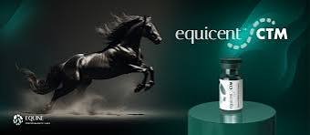 Equicenta CTM