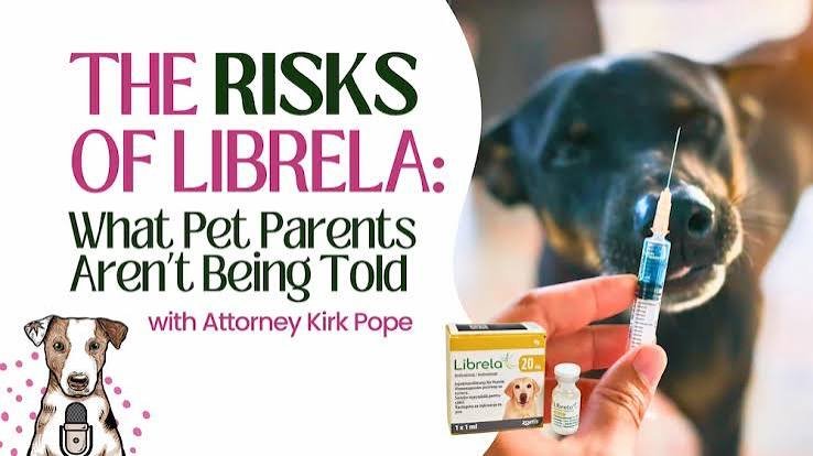 Judge Dismisses Class Action Targeting Zoetis’ Canine Arthritis Drug Librela
