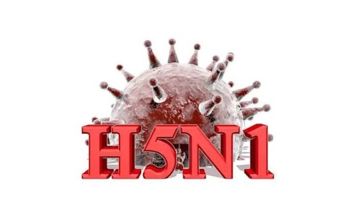 india-h1n1-h5n1-one-health-surveillance-2026