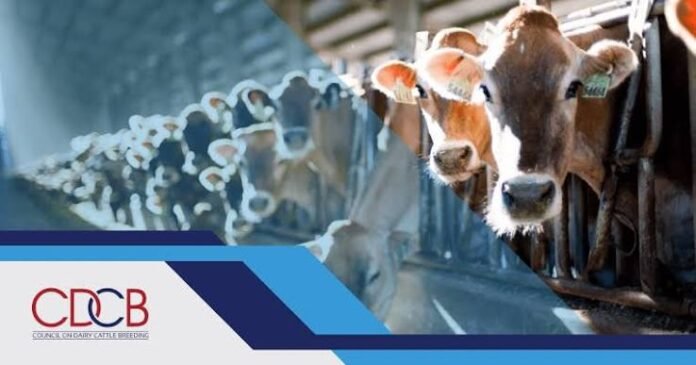 CDCB calf health genetic evaluations