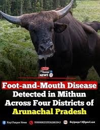 FMD outbreak in Mithuns Arunachal Pradesh 2026