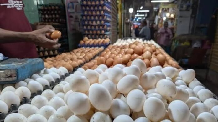 India's Egg Demand stay steady.png