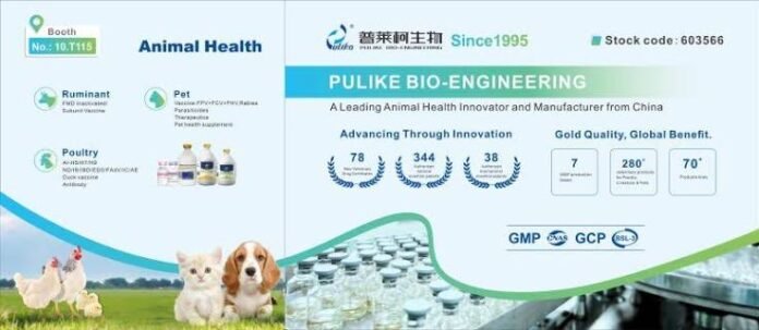 Pulead revenue profit decline 2026