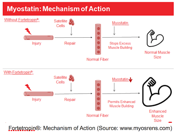 mechanism of action