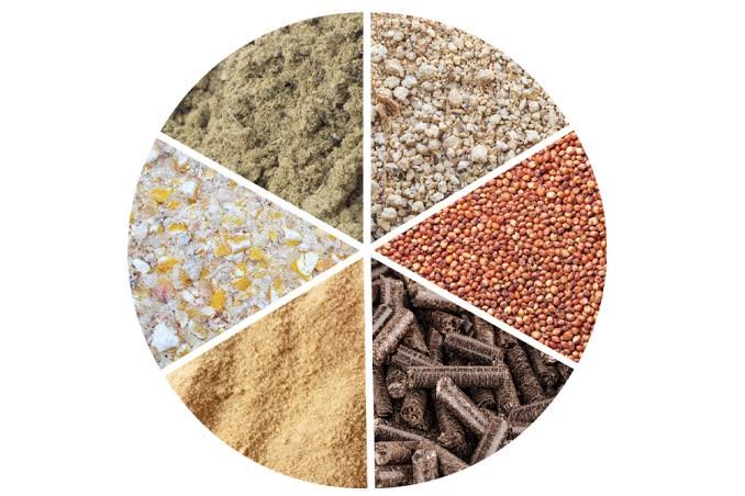 Novus Launches Global Raw Material Compendium to Help Nutritionists Compare Feed Ingredients Faster