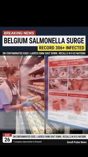 Belgium Salmonella Outbreak Linked to Laerco Eggs Reaches 306 Cases