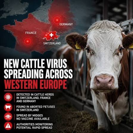 European Shamonda Virus Spreads Across France and Europe