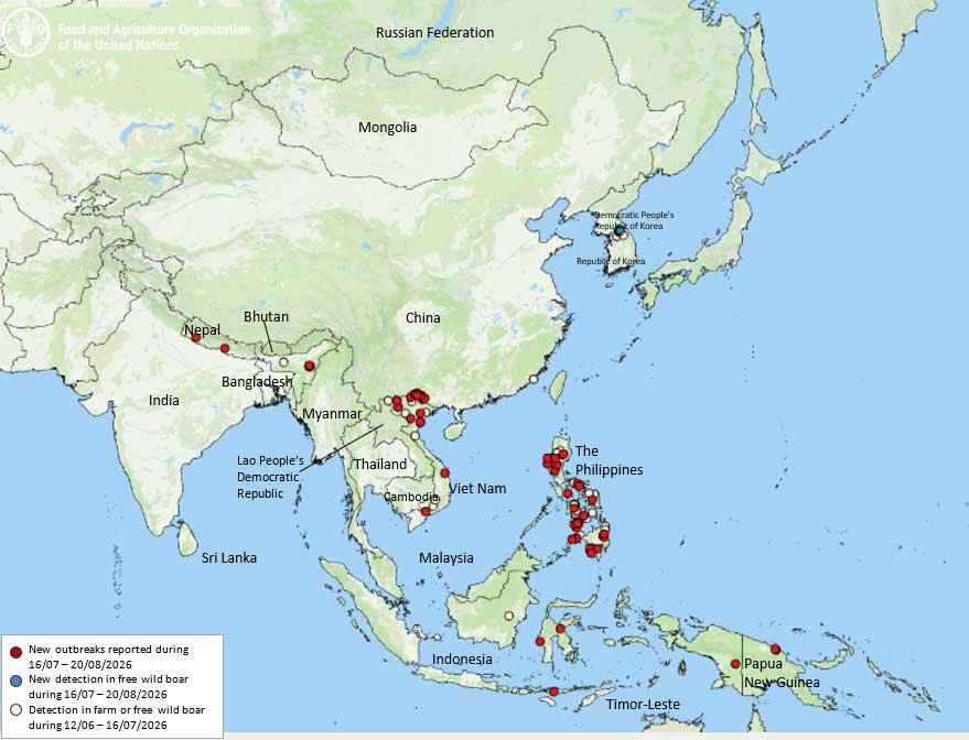 African swine fever (ASF) situation update in Asia & Pacific