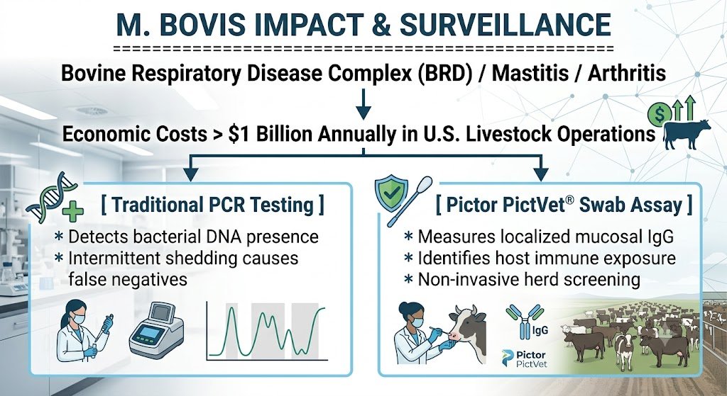 M. bovis Impact and Surviellance