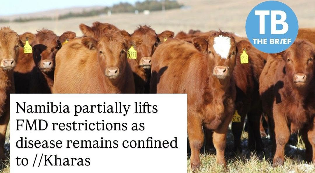 Namibia Partially Eases FMD Restrictions as Outbreak Remains Localised