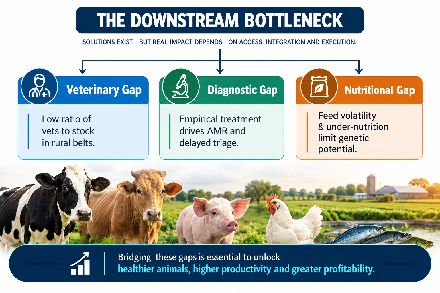 Bottlenecks in India's AH Industry Growth