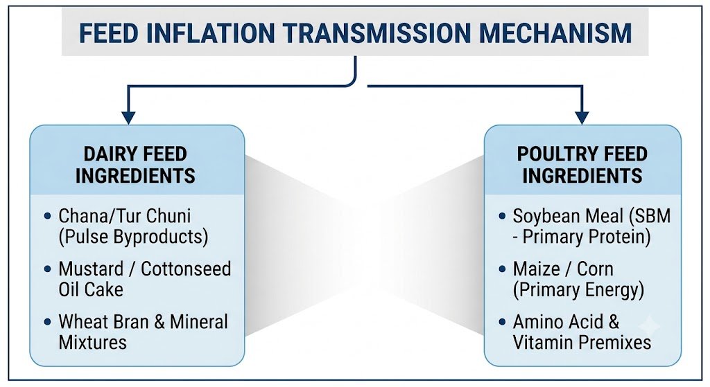 Cost-Drivers-of-Animal-Feed-in-India