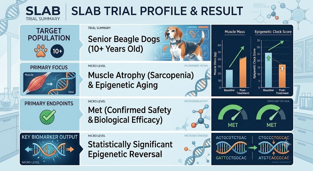 Genflow Biosciences has officially announced that its landmark Phase 2 clinical trial, SLAB
