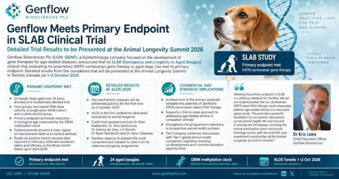 Genflow Hits Milestone in Canine Longevity Trial