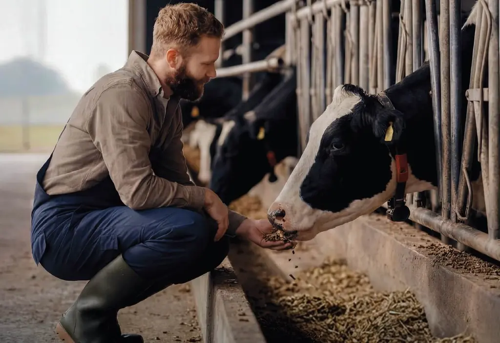 IFF Launches Omni-Bos™ PHY Dairy Phytase for Improved Nutrient Utilisation