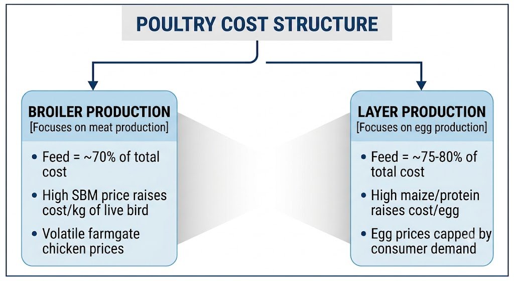 Poultry-Feed-and-Margin-Structure