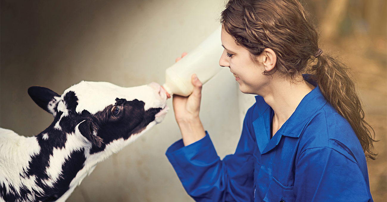 Lallemand Animal Nutrition launches SMART GROWS