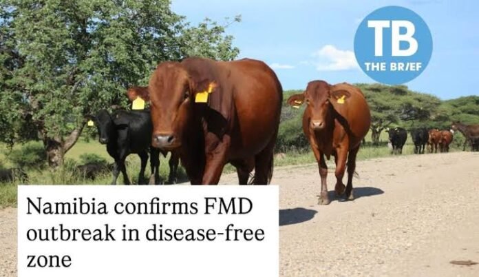 Namibia FMD Outbreak