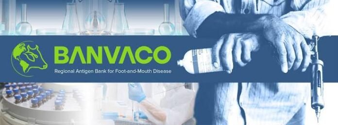 Americas Advance Regional Foot-and-Mouth Disease Antigen Bank