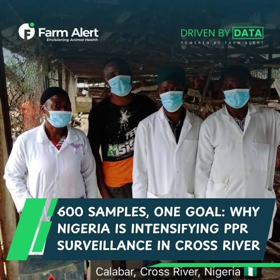 nigeria-ppr-surveillance 2026