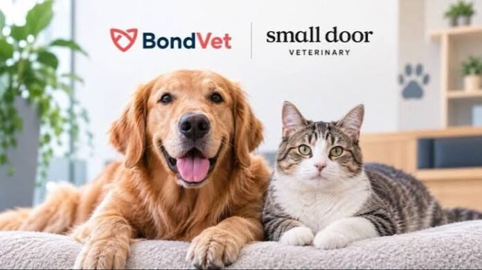 Bond Vet and Small Door Merge to Create 55+ Clinic Veterinary Network