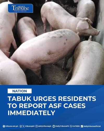 Philippines: African Swine Fever Surveillance Expands Across 18 Barangays in Tabuk City