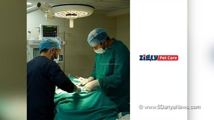 Zigly Acquires Prolife Speciality Vet Clinic